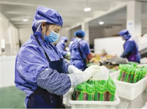 隨州武漢**食品有限公司